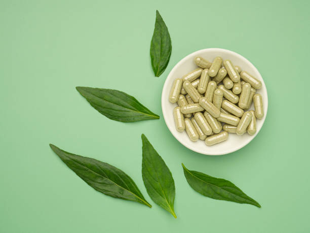 220+ Andrographis Paniculata Herbal Tablets Stock Photos, Pictures   Royalty-Free Images - iStock