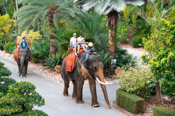 nong nooch tropical garden. tourists riding elephants. tourists riding elephants through nong nooch park - pattaya imagens e fotografias de stock