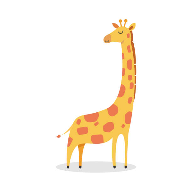 illustrazioni stock, clip art, cartoni animati e icone di tendenza di giraffa cartone animato carino - giraffa ungulato
