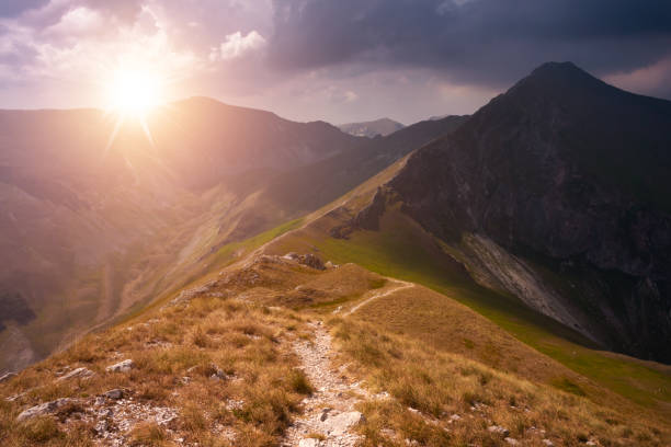 istock Summer mountain landscape with a trail, beautiful nature 1469908244