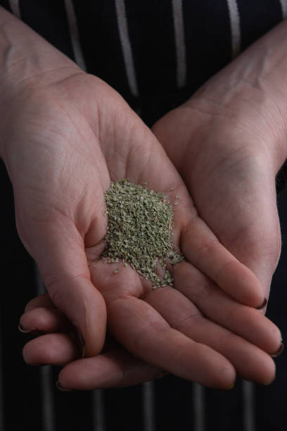 istock Chef's Hands Holding Raw Spices and Herbs 1469908247