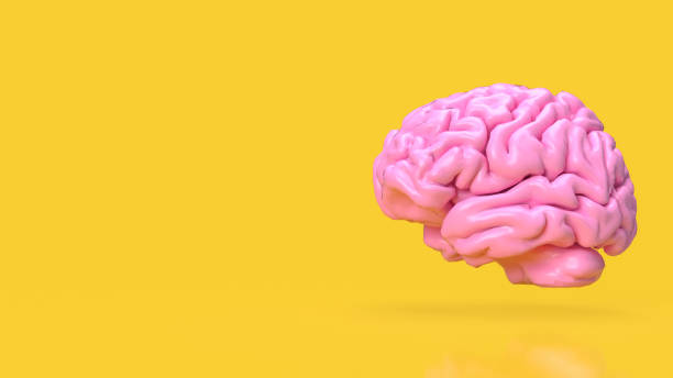 istock The pink brain on yellow background for creative or idea concept 3d rendering 1469909377