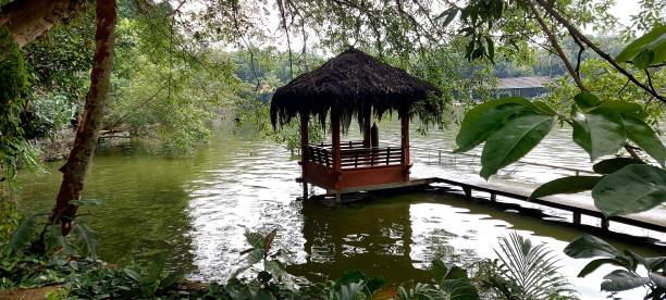 istock Nature,  hut in green lake 1469910593
