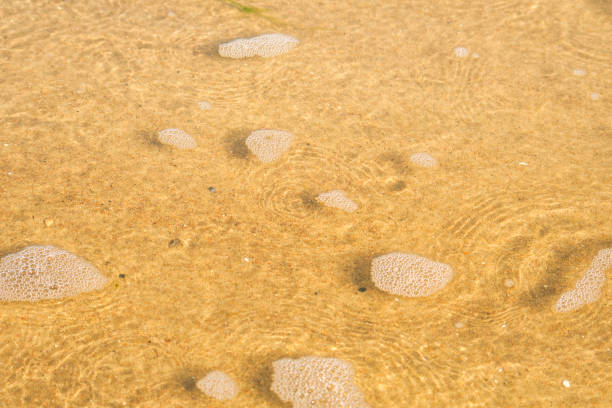 A thin layer of clear water over the sand. A seaside or ecology-themed background with clear sea water over a sandy bottom.