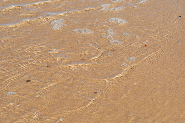 istock Transparent wave with white foam over sand with rare pebbles. Crystal clear sandy beach. Background with eco friendly place for rest. 1469912588