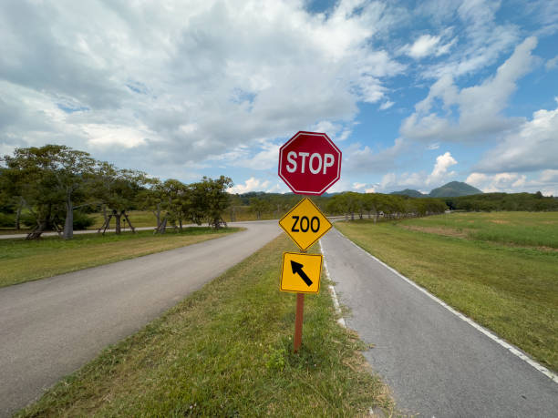 istock road animal sign 1469914853