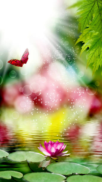 istock beautiful red lotus flower and butterfly 1469917534