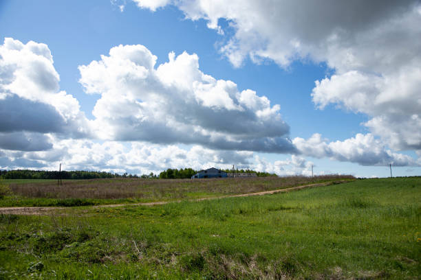 istock A green field, beautiful fluffy clouds, a contrasting sky. 1469921472