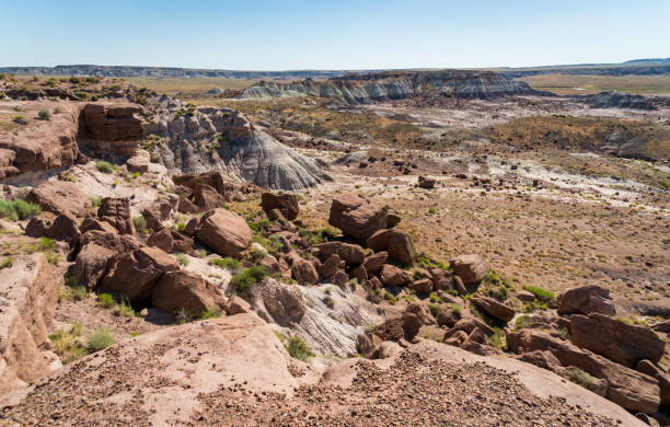 istock Painted Desert, Petrified Forest National Park 1469921557