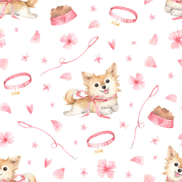 dogs Chihuahua and pink flowers. Pattern with dogs Chihuahua and pink flowers. Watercolor hand-drawn texture with illustrations of Chihuahua with pink ribbon, collar and leash dog with ribbon stock illustrations