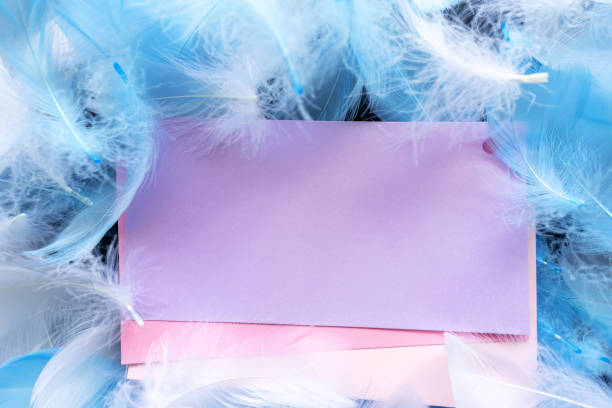 istock Purple paper on the feather background 1469922988