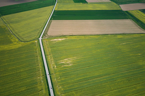 Countryside road among agricultural fields, aerial view. Nature landscape