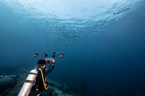Male scuba diver taking a photo school of Barracuda fish in the blue ocean. Underwater photography concept