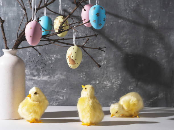 istock Vase with branches decorated with Easter eggs. Cute yellow chickens. Easter decoration, space for a text. 1469942273