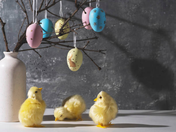 istock Vase with branches decorated with Easter eggs. Cute yellow chickens. Easter decoration, space for a text. 1469942278