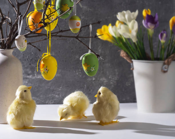istock Vase with branches decorated with Easter eggs. Cute yellow chickens. Easter decoration, space for a text. 1469942291