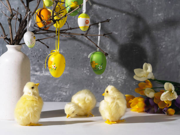 istock Vase with branches decorated with Easter eggs. Cute yellow chickens. Easter decoration, space for a text. 1469942304