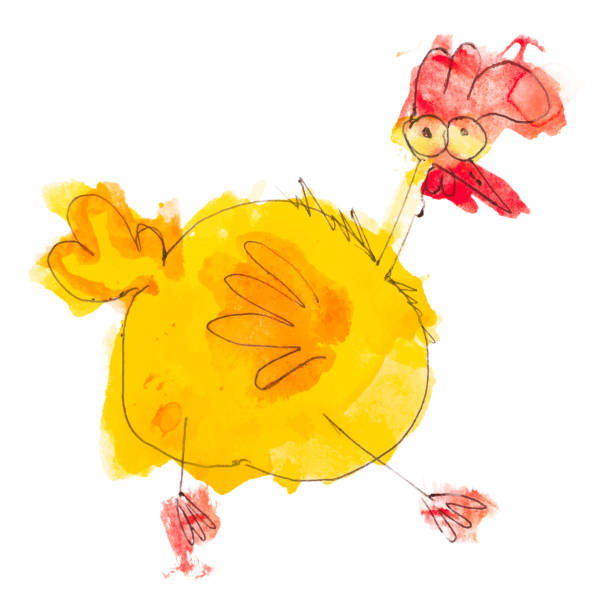 Chicken Child's Drawing & Painting Chicken Child's Drawing Vector Illustration chicken cartoons pictures stock illustrations