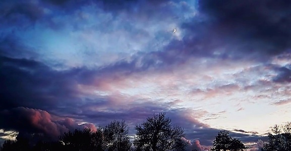 Landscape violet blue at dusk, clouds, a few trees, crescent moon half hidden by clouds
