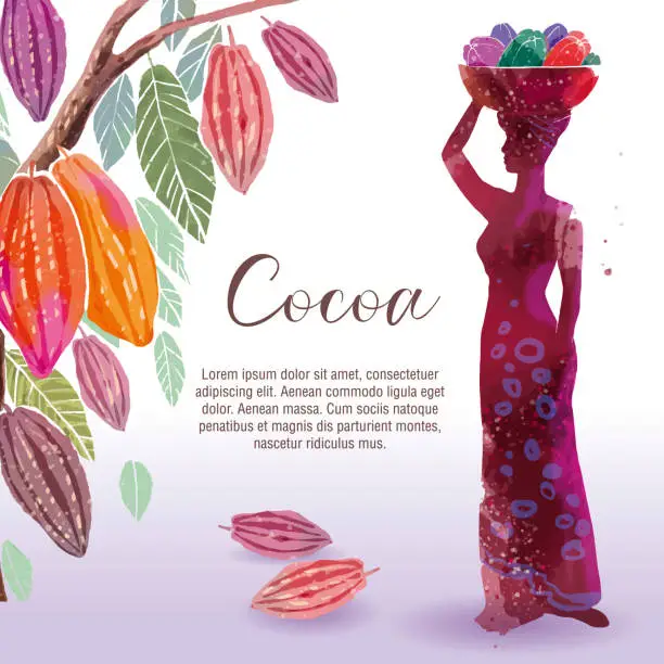 Vector illustration of Farmer woman carries basket with cocoa pods, which are used as raw material for the production of chocolate. Pickers with baskets full of cocoa pods. Cocoa Beans. Vector illustration.