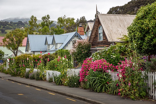 A road in the suburbs featuring multiple houses, a fence, trees, flowers in Akaroa, New Zealand