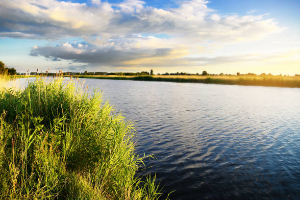 istock Summer rural landscape with flowing river at sunset. 1469949151