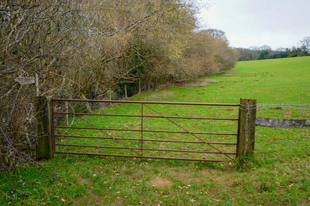 Large wooden gate in front of a green grass field