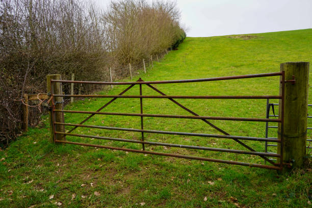 istock Large wooden gate in front of a green grass field 1469949376