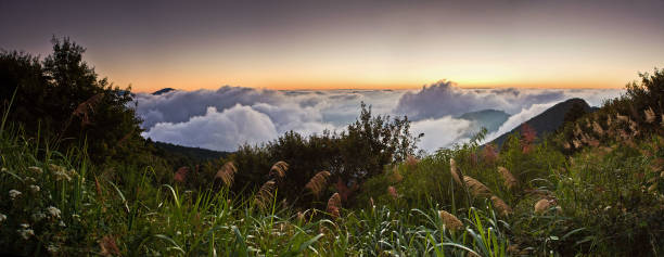 Holiday in Taiwan - Sunset on top Alishan