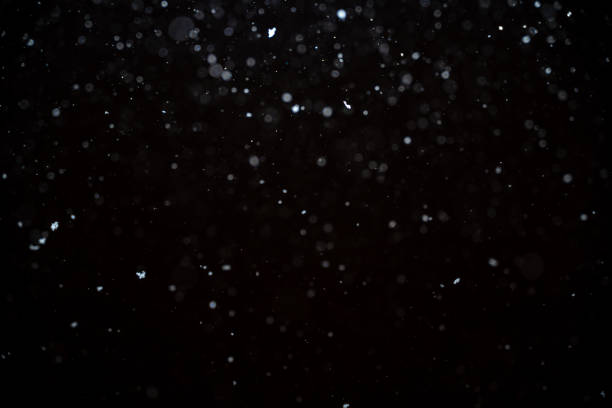 istock Snowfall isolated on black background. Abstract white bokeh background. 1469950139