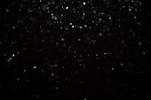 Snowfall isolated on black background. Abstract white bokeh background.