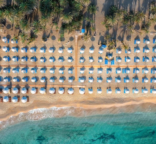 istock Aerial View On Vai Beach, Crete 1469950176