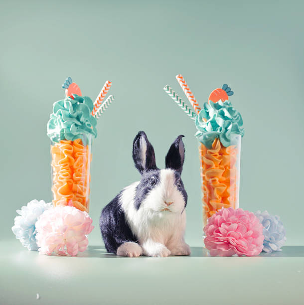 Easter Eats: Carrot-Themed Parfait Desserts and a Cute Bunny