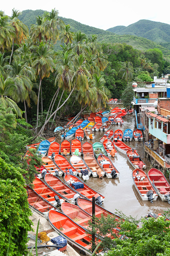 Elevated view of palm trees and colourful fishing boats moored in river against mountains, Choroni, Venezuela.