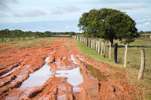 View of puddles on dirt track passing amidst agricultural field, Los Llanos, Venezuela.