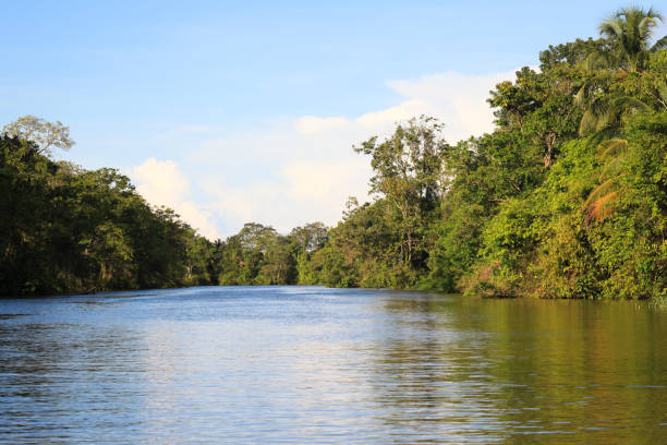 istock Scenic view of Catatumbo river 1469952202