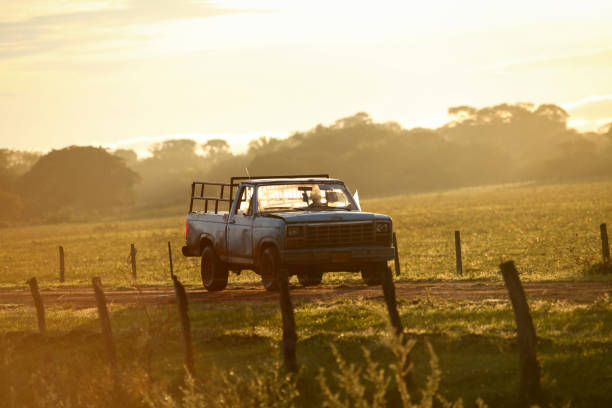 Off road vehicle parked on dirt track amidst field, Los Llanos, Venezuela.