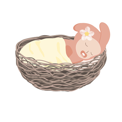 An adorable newborn girl sleeping comfortably in a waved nest. Flat vector illustration isolated a white background.
