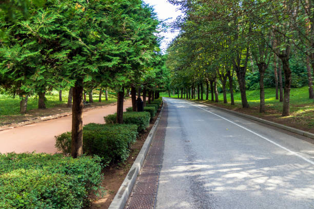 istock Bike path in a beautiful park in autumn 1469953018