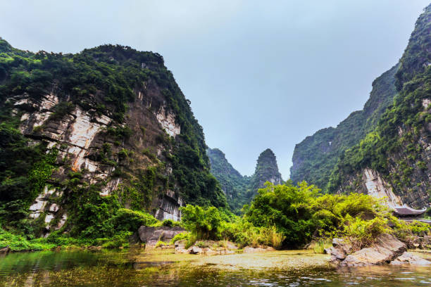 istock Van Long Nature Reserve is diverse ecosystem along with the beautiful natural scenery 1469954766