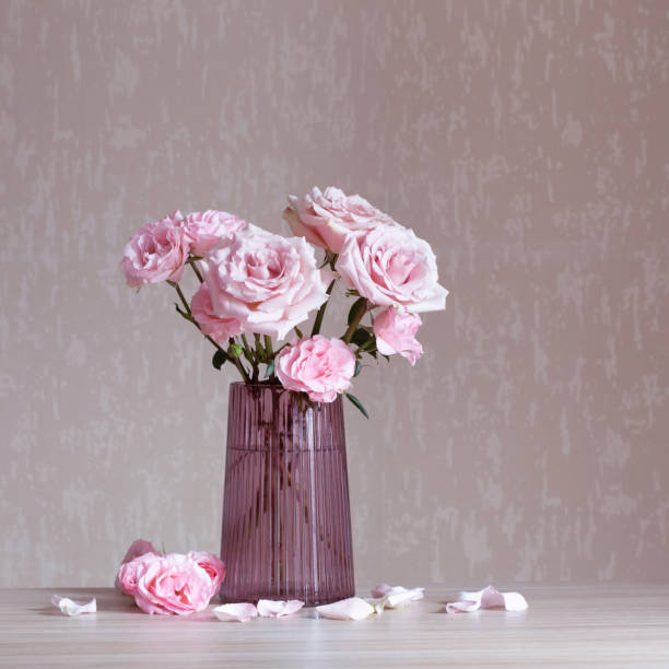 natureza morta com rosas cor-de-rosa no vaso de vidro - roses in a vase - fotografias e filmes do acervo