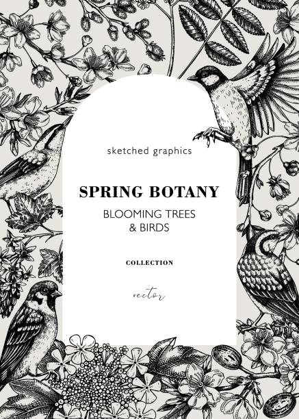 ilustrações, clipart, desenhos animados e ícones de design de cartão de mola em estilo esboçado - tree bird flower pattern