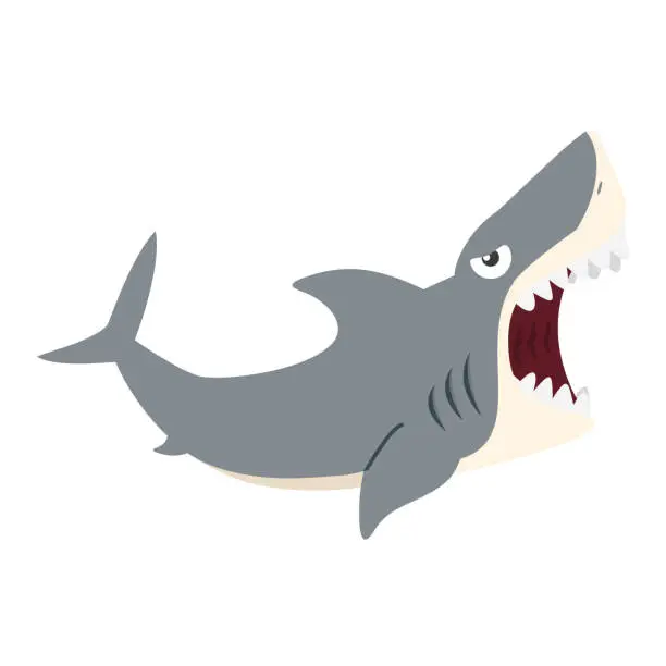 Vector illustration of Great White Shark open mouth cartoon