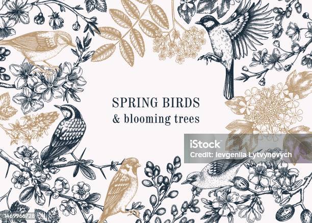 Spring Frame Drawing Spring Frame Design In Sketched Style Stock Illustration - Download ...