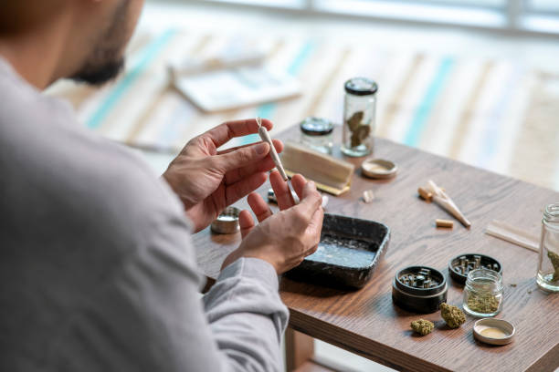 istock Young Asian man rolling a marijuana joint at home. 1469968327