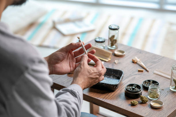 istock Young Asian man rolling a marijuana joint at home. 1469968341