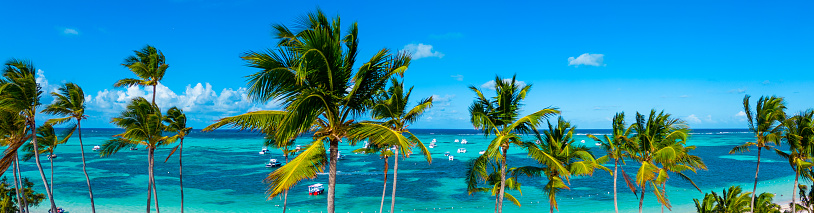 Panorama of turquoise Caribbean sea and clear blue sky through green coconut palm trees. Vacations on the best beach in the world. High quality photo