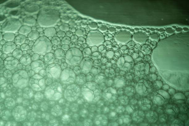 istock Glossy, light green background with an abundance of soap bubbles, creating a dreamy effect 1469970621