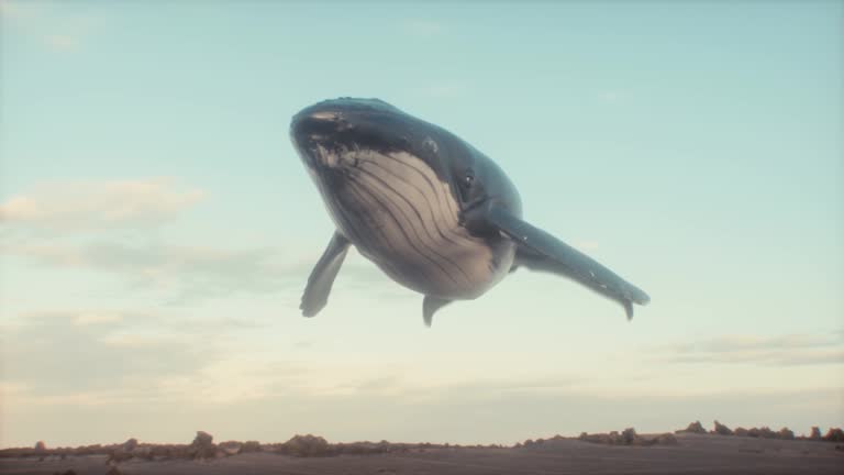 Surrealist Animation of a Humpback Whale in the Sky.