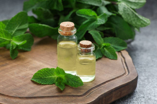 istock Bottles of essential oil and mint on grey table, closeup 1469973760